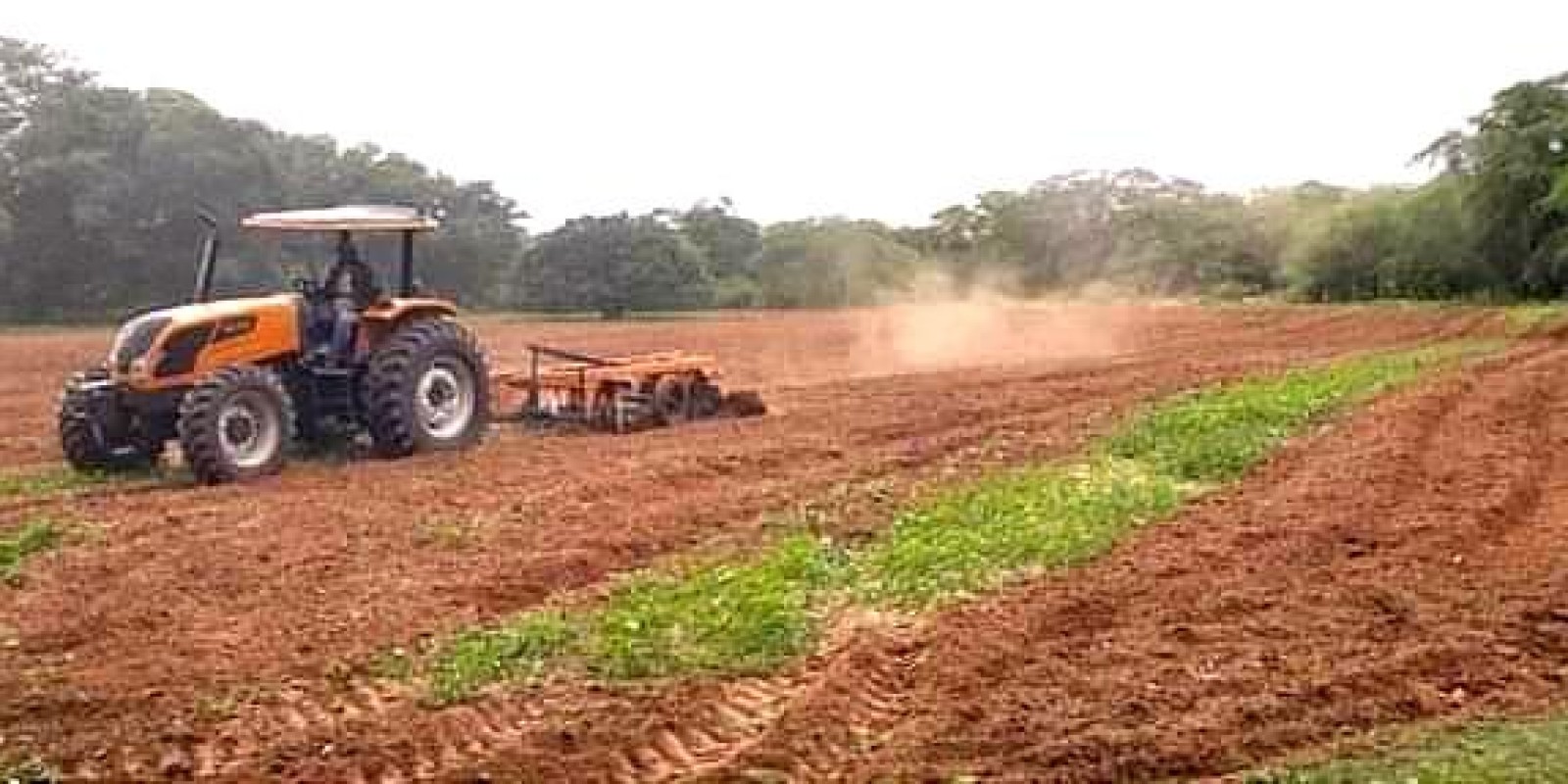 Prefeitura de Serra Branca conclui programa de cortes de terra com um saldo de mais de 950 famílias atendidas