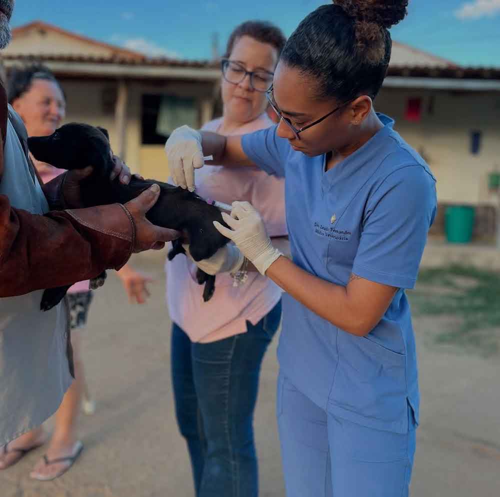 Mutirão de testagem para leishmaniose, vacinação antirrábica e atendimentos veterinários reforça compromisso com a saúde animal em Serra Branca