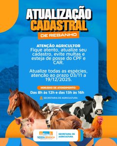 WhatsApp Image 2025-11-03 at 12.31.35