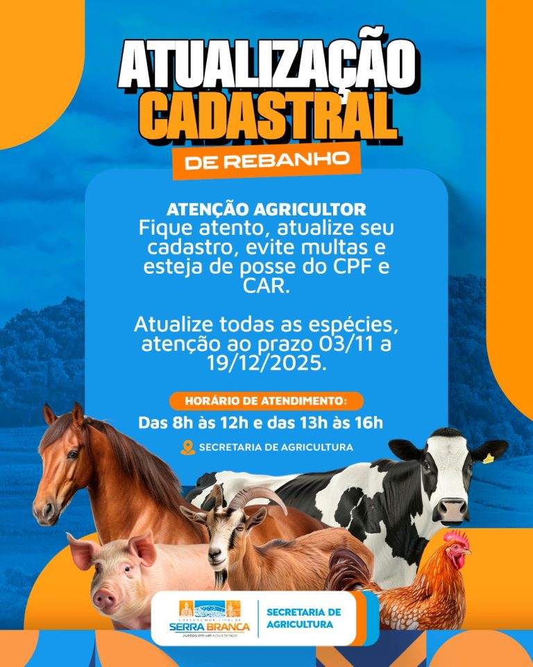 WhatsApp Image 2025-11-03 at 12.31.35